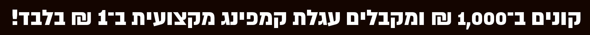 ארגון הבית